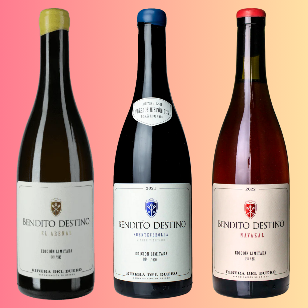 Bendito Destino Tasting Pack