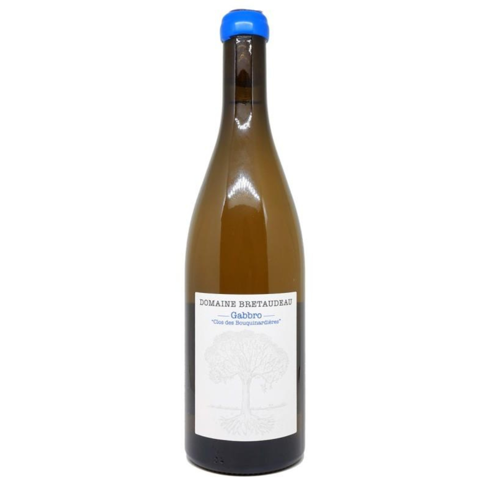 2022 Domaine de Bellevue (Jérôme Bretaudeau) Muscadet Gabbro Clos des Bouquinardières